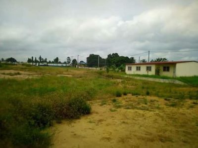 VENTE DE 15 LOTS DE 400 METRES CARRES CHACUN A SONGON AGBAN ATTIE II