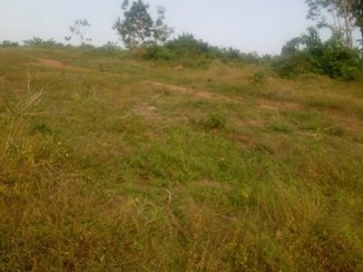 Terrain , 500 m² à vendre – abidjan