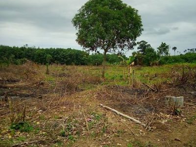 Terrain , 500 m² à vendre – abidjan