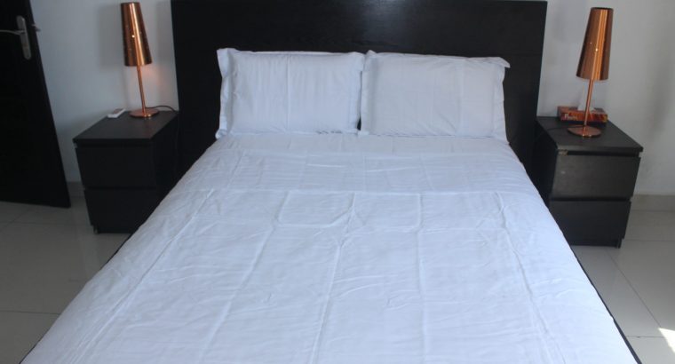 VOTRE APPARTEMENT MEUBLE DE 3 PIÈCES LUXUEUX-HAUT STANDING ANGRE 7E TRANCHE POUR UN SEJOUR AGRÉABLE ET CONFORTABLE