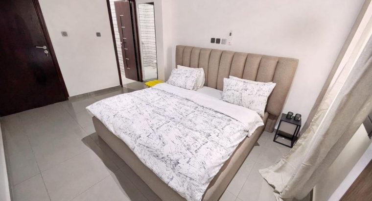 APPARTEMENT MEUBLE DE STANDING DE 03 PIECES ANGRE CHU