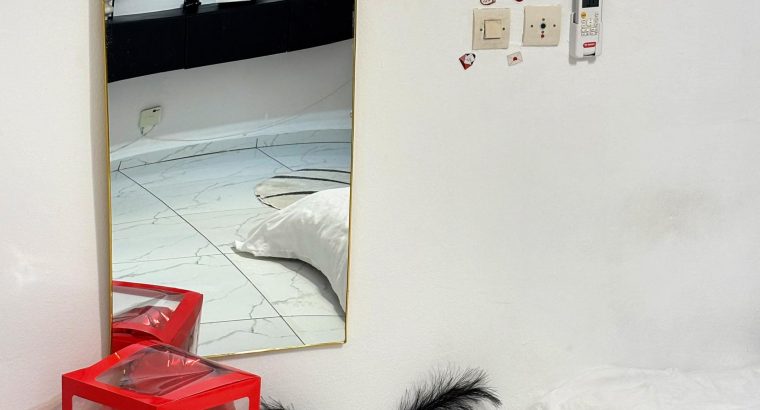 APPARTEMENT MEUBLE STUDIO ANGRE 9E