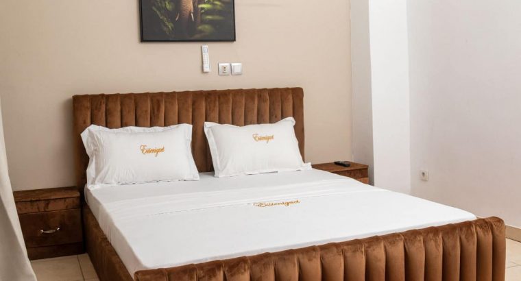 APPARTEMENTS MEUBLES :STUDIO-02 P A BINGERVILLE.